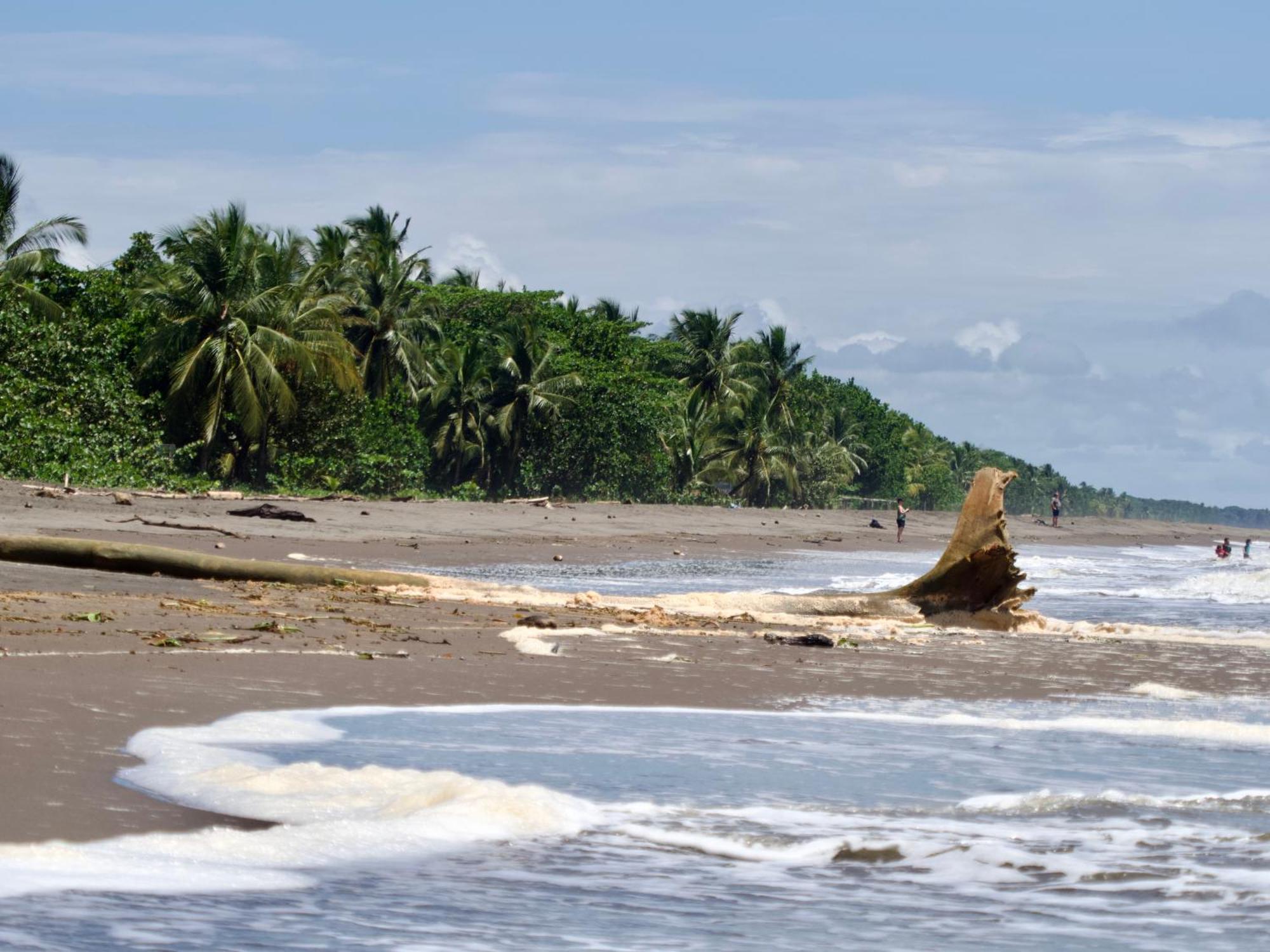 El Deseo Serendipity Tortuguero Esterno foto