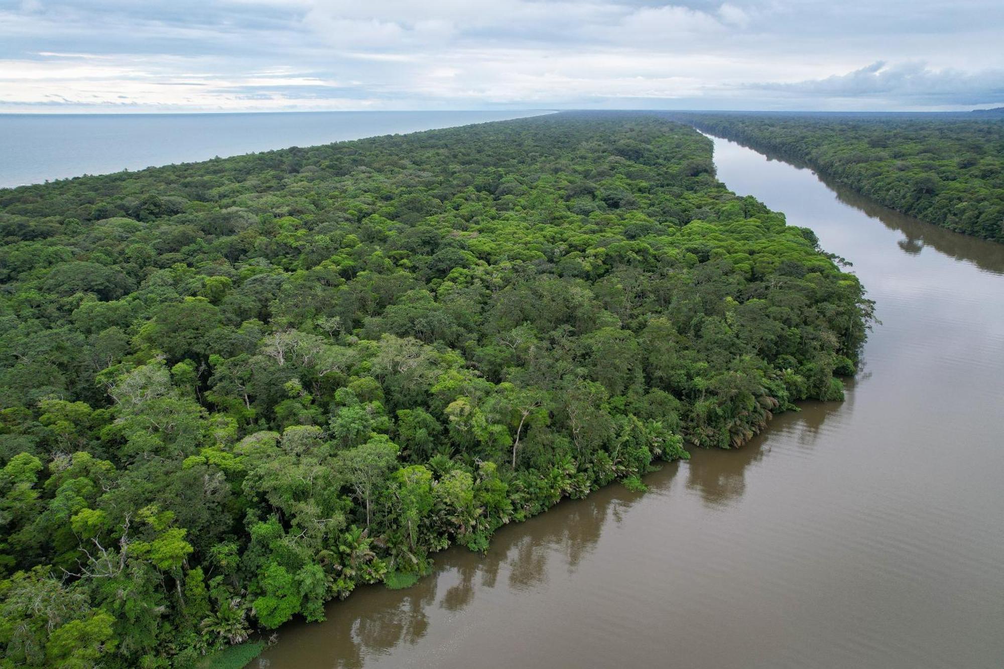El Deseo Serendipity Tortuguero Esterno foto