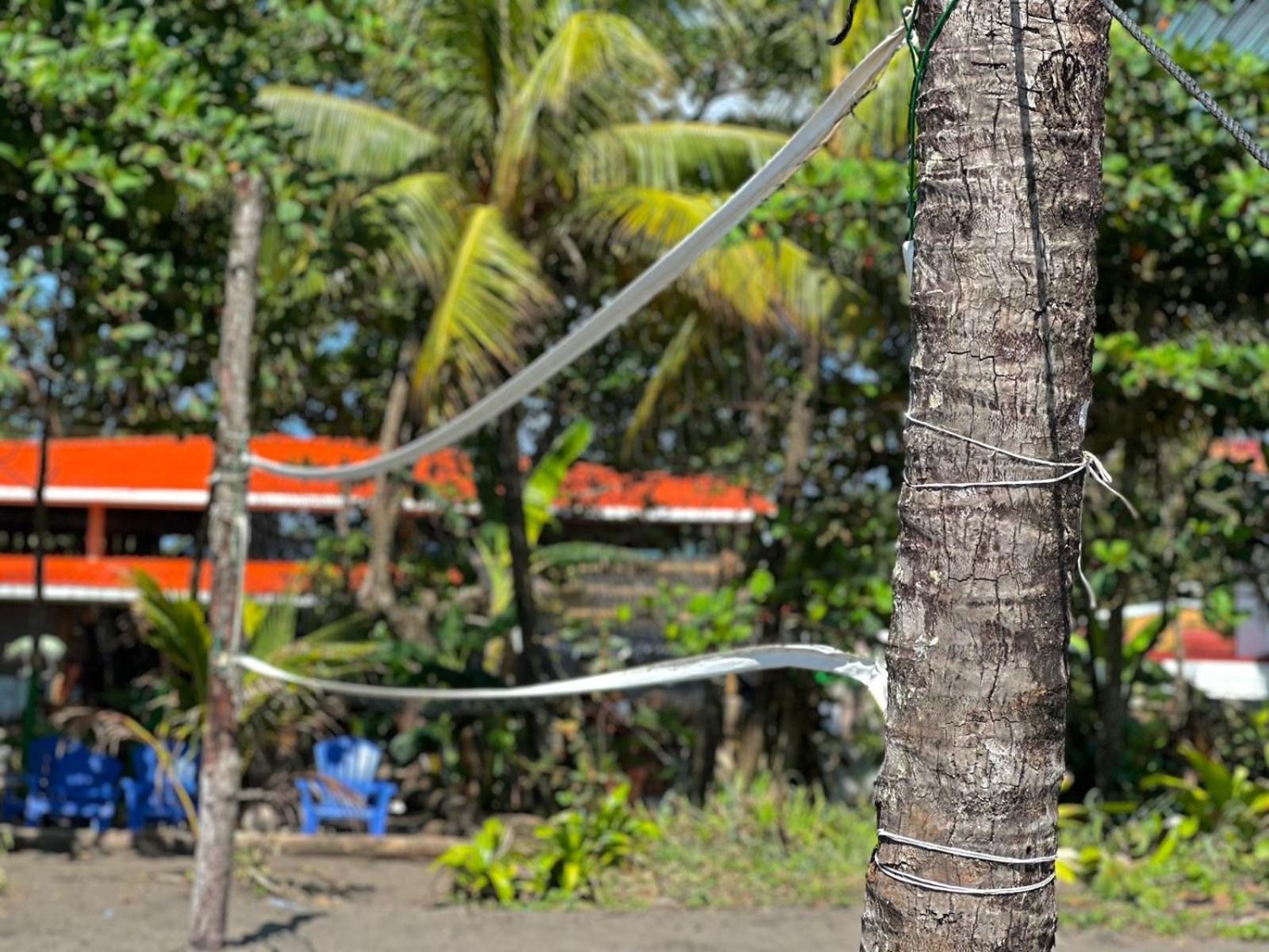 El Deseo Serendipity Tortuguero Esterno foto