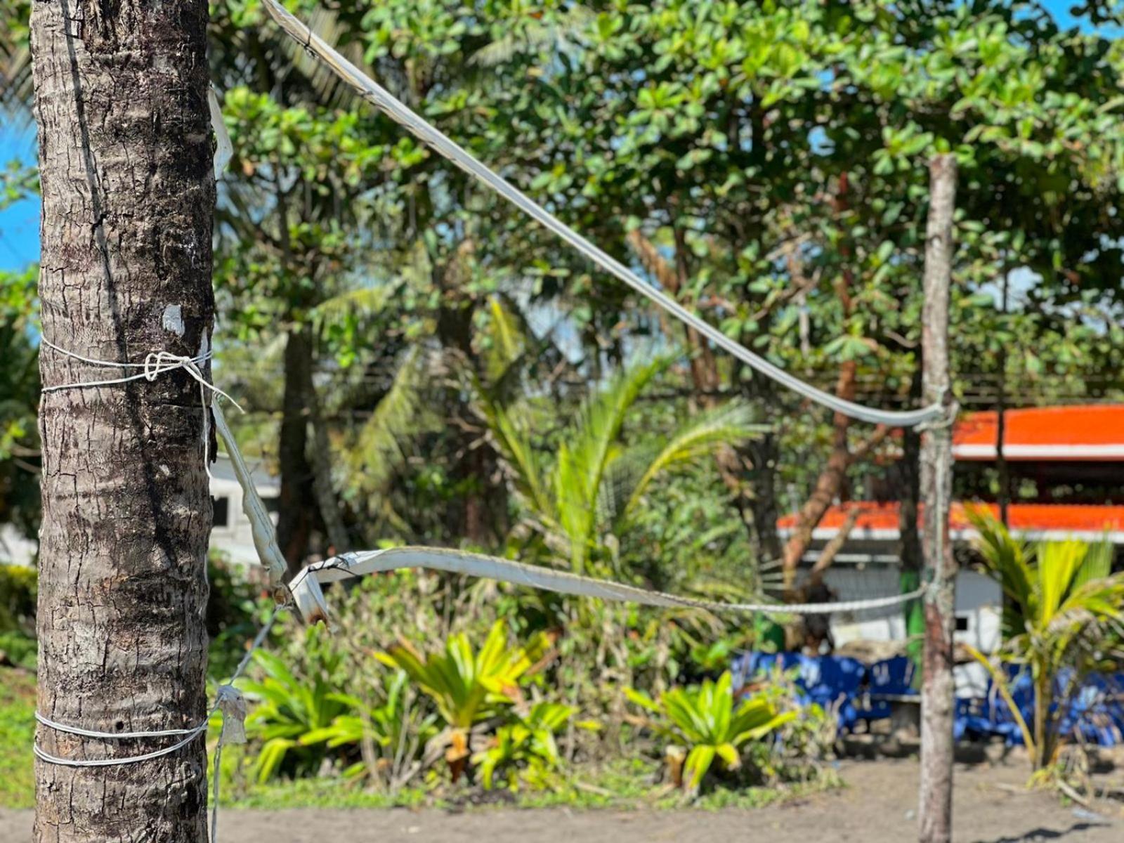 El Deseo Serendipity Tortuguero Esterno foto