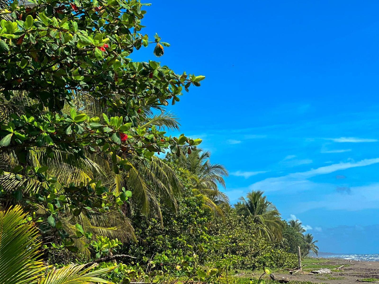 El Deseo Serendipity Tortuguero Esterno foto